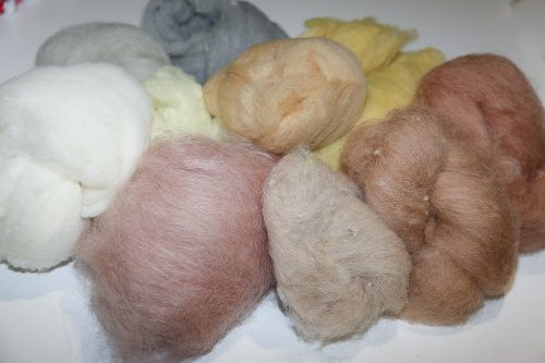 Natur és festett kártolt birkagyapjú